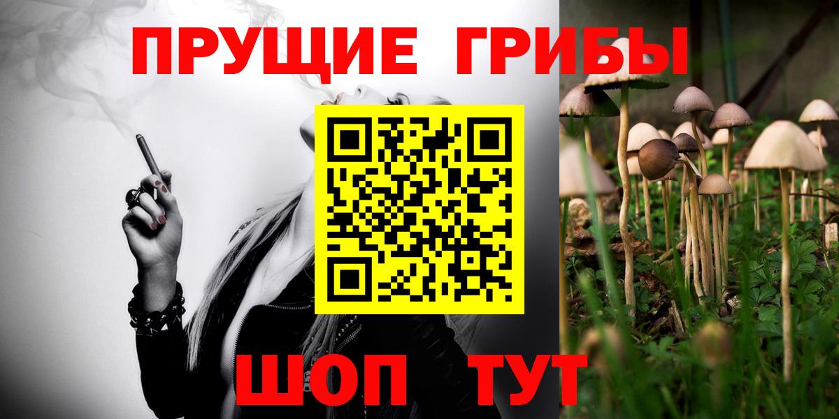 Галлюциногенные грибы Magic Shrooms  Вход с VPN  Улан-Удэ  Галлюциногенные грибы мухоморы 