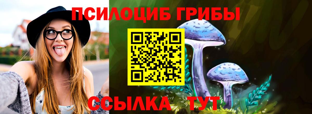 Галлюциногенные грибы мухоморы Улан-Удэ